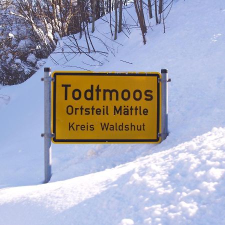 Birke 9, 10 Oder 11 Apartman Todtmoos Kültér fotó