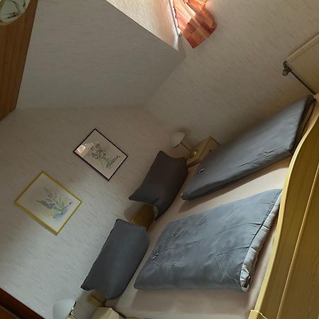 Birke 9, 10 Oder 11 Apartman Todtmoos Kültér fotó
