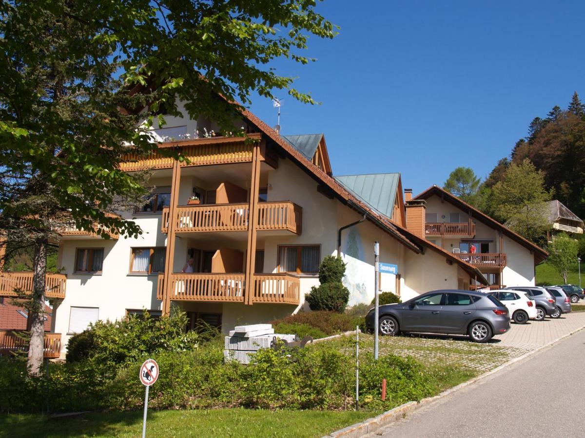 Birke 9, 10 Oder 11 Apartman Todtmoos Kültér fotó