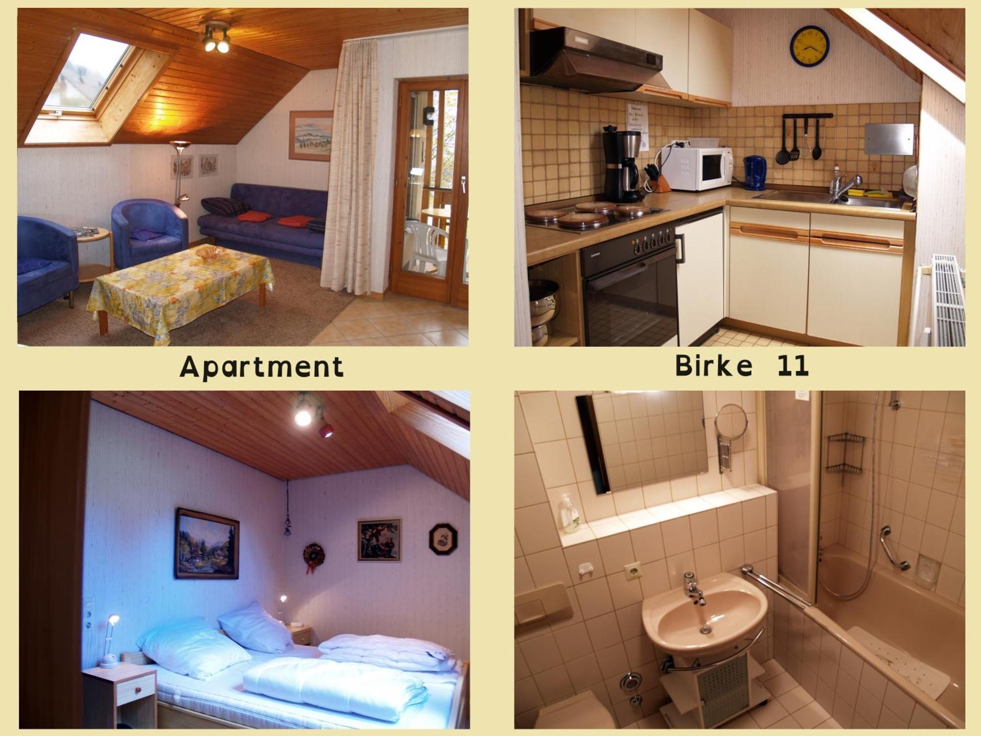 Birke 9, 10 Oder 11 Apartman Todtmoos Kültér fotó