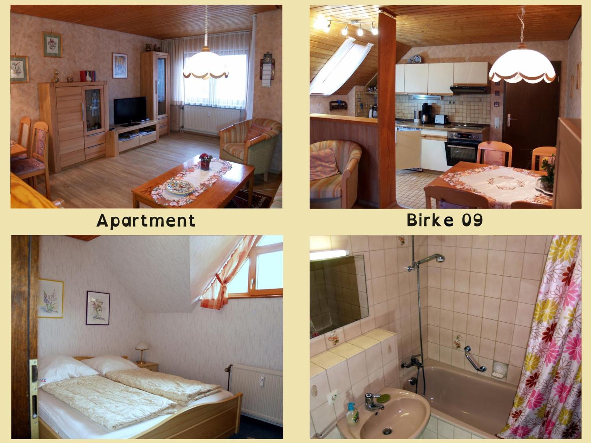 Birke 9, 10 Oder 11 Apartman Todtmoos Kültér fotó